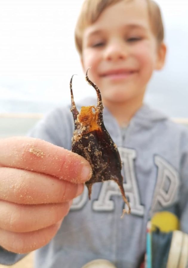 Student building a toy crane